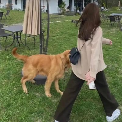 女神探夏洛克